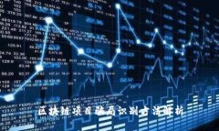 区块链项目骗局识别方法